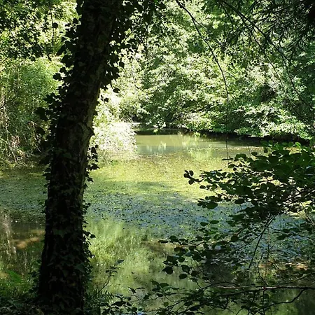 La Maison De L'ecrivain Villa