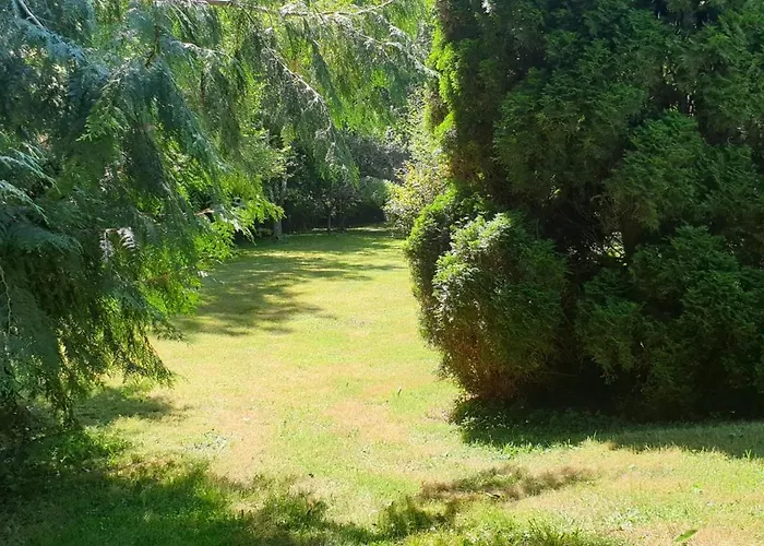 La Maison De L'ecrivain فيلة