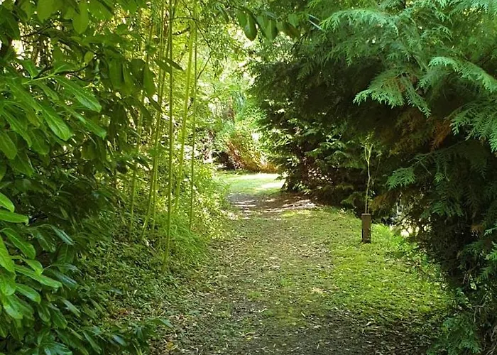 فيلة La Maison De L'ecrivain