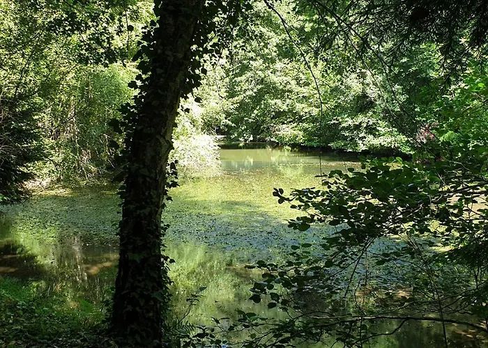 La Maison De L'ecrivain فيلة